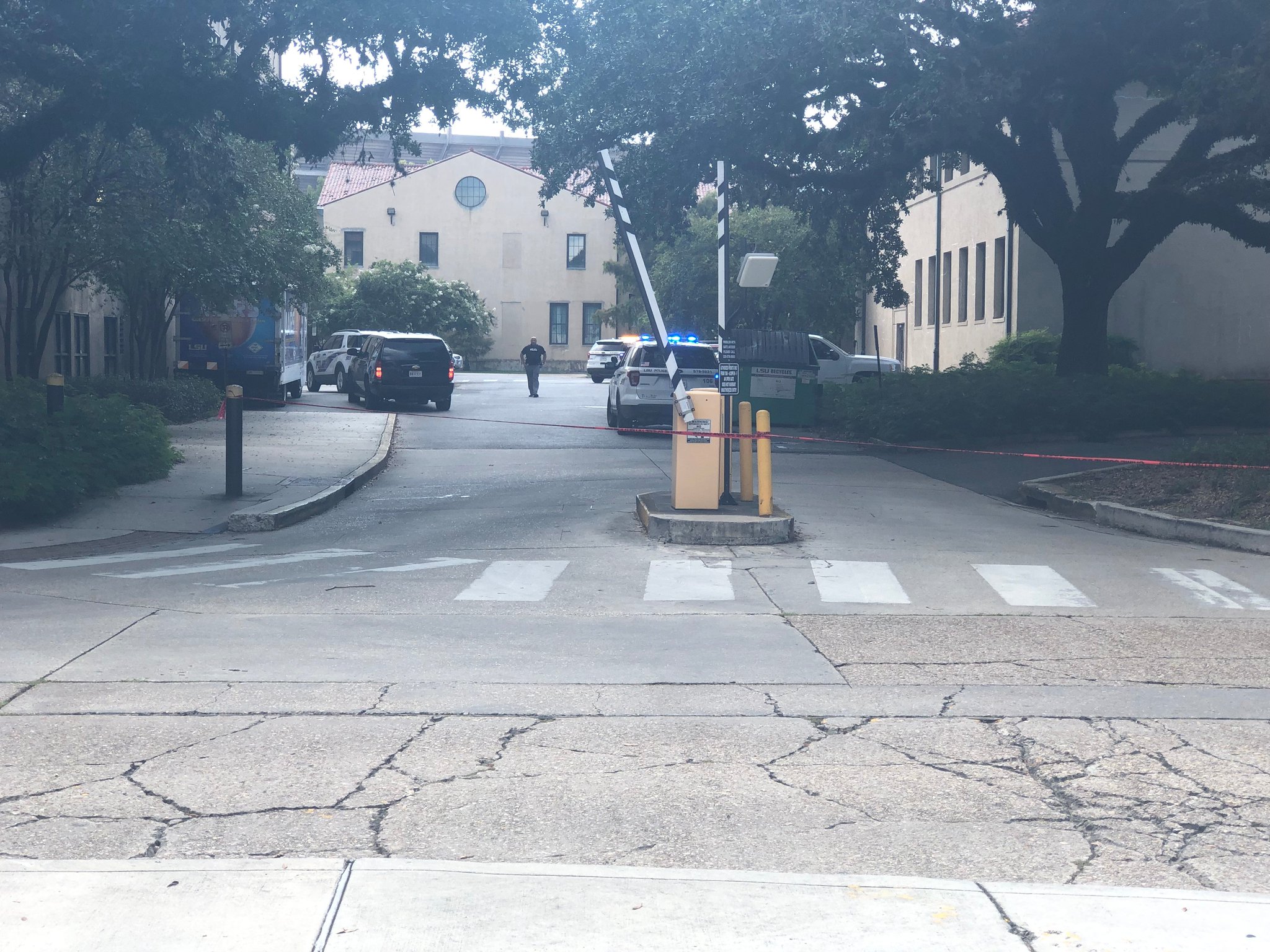 Chad Sabadie on Twitter "Images from LSU via JonahMGilmore…