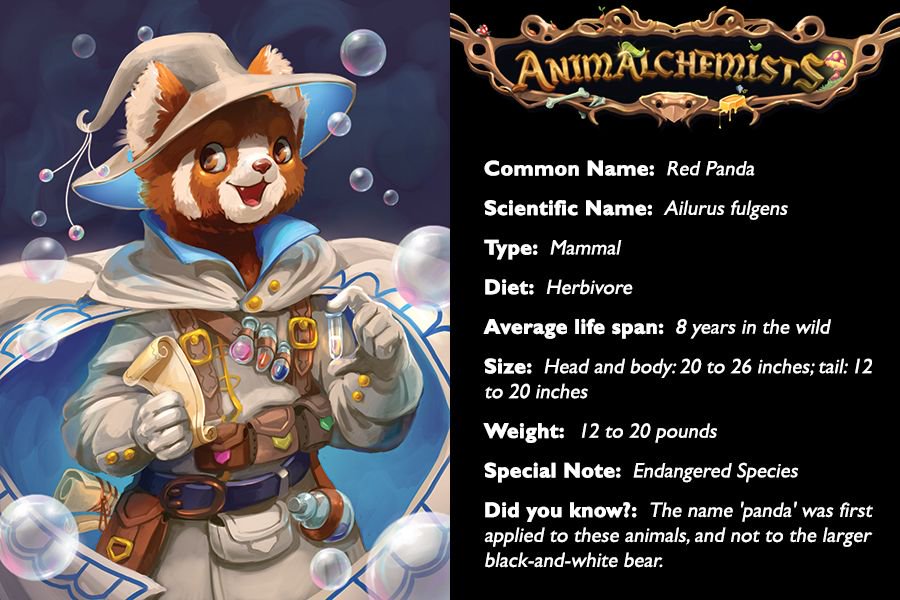CardLords's tweet photo. Do you know any Red Panda lovers that would love this? why not like, share and tag those who love everything about Red Pandas! 
#Like #Share #redpandas #endangered #species #pandalove #red #gaming #animalgames #teachers #schoolgames #cardlords @kickstarter #kickstarter https://t.co/dhOqaTWGJf