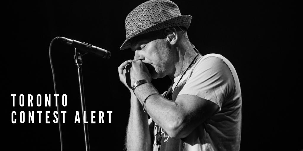 reallesstroud's tweet photo. CONTEST! On Sept 19 I’ll be playing @HughsRoomLive in T.O. &amp; want to see you there. Enter for your chance to win 1 of 5 prize packs incl: 1 DVD, 1 sweatshirt, 1 mug, 1 Mother Earth CD &amp; 2 tix to the concert. Closes Aug 22. Sign up for my Fan Newsletter - https://t.co/CRnCrzUTO2 https://t.co/sKSjcxWAgR