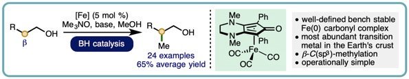MorrillGroup's tweet photo. A big congratulations to Kurt @ChemistryCU, whose work on iron-catalyzed borrowing hydrogen beta-C(sp3)-methylation of alcohols has been accepted for publication in @ACSCatalysis! An excellent solo-author effort from Kurt! Sneak peak below... https://t.co/SSKN9AteGf