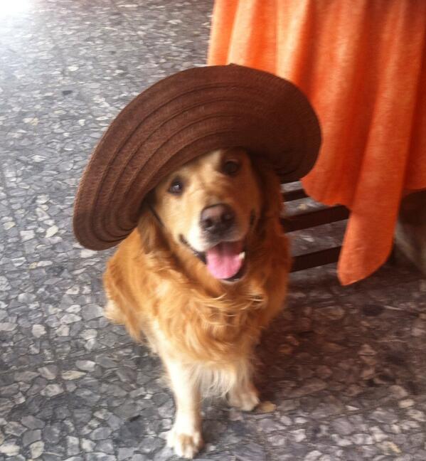 Dificil despedirse de quien te ha dado tanto