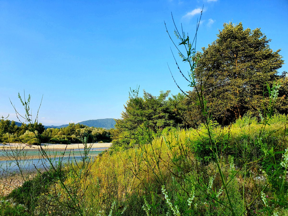 saskica22's tweet photo. #River #Ljubljanica and #Sava at Confluence Point #Podgrad #Ljubljana #Slovenia #Slovenija https://t.co/bkL3kZTzju