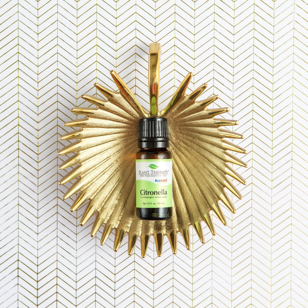 PlantTherapy's tweet photo. Last chance to save 15% automatically on this seasonal favorite! 
#citronella #essentialoils #spotlightoiloftheweek
Learn more: https://t.co/wqamgue7vP https://t.co/nIsaJT3IjR