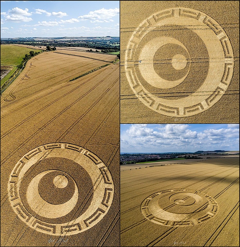 Crop Circles 2019 - Etchilhampton Hill, Devizes ECcV5zAUIAIi7tv?format=jpg&name=medium