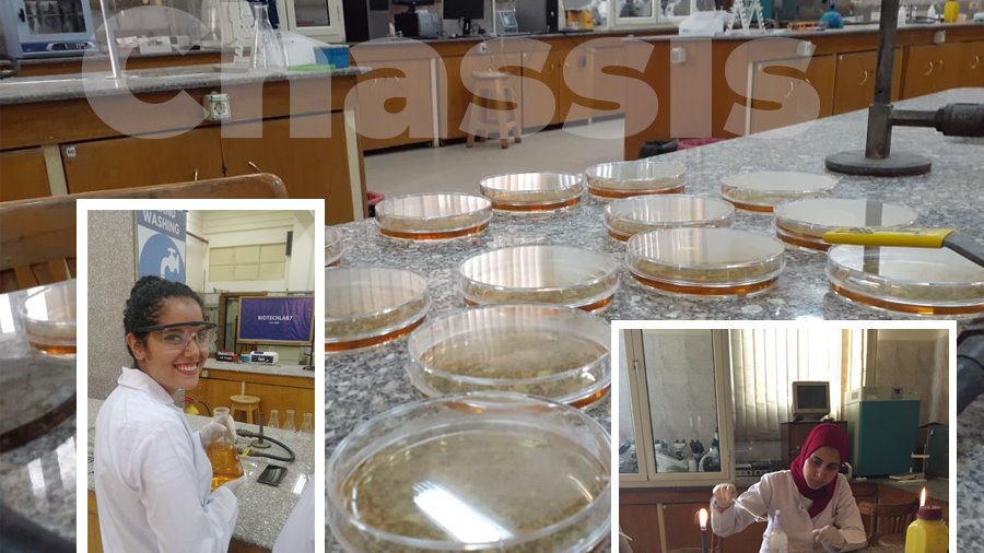 CUiGEM19's tweet photo. How to make a microorganism accumulate salts to desalinate the world seawater? 🦠🌊
https://t.co/l5CafM4yfq
ازاي نقدر نخلي ميكروب يحلي المياه المالحة؟🦠🌊
#Desalination #SynBio #CUStory 1 #BioDesalination #CUiGEM #iGEM2019 https://t.co/C1euOr28pT