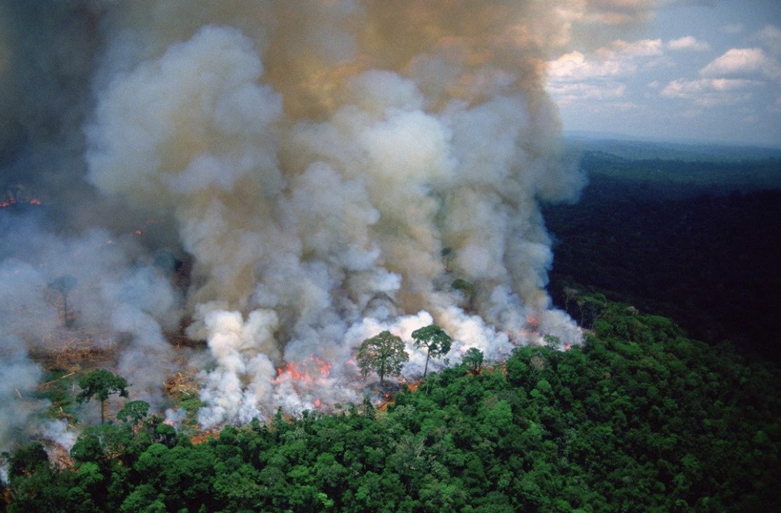 LVranjes's tweet photo. Terrifying to think that the Amazon is the largest rain forest on the planet, creating 20% of the earth’s oxygen, basically the lungs of the world, has been on fire and burning for the last 16 days running, with literally NO media coverage whatsoever! Why? #wakeup #climatechange https://t.co/Uq8iXso4yh