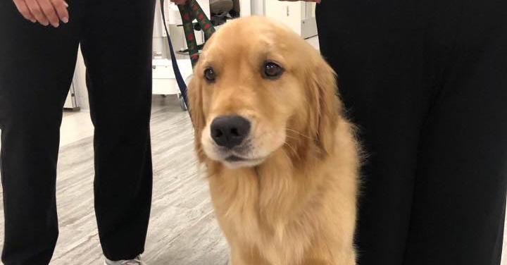 book creation and evolution