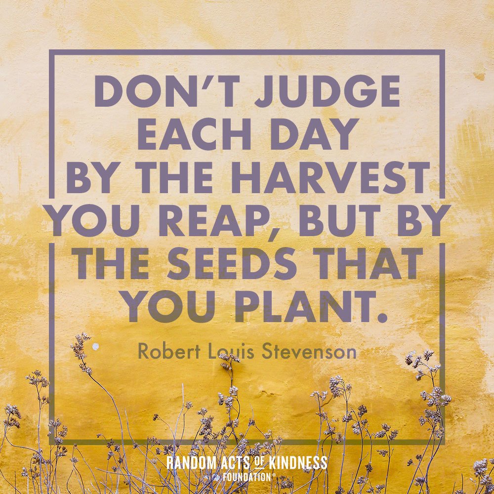 What kindness seeds have you planted today? 🌿 #Quote #MakeKindnessTheNorm