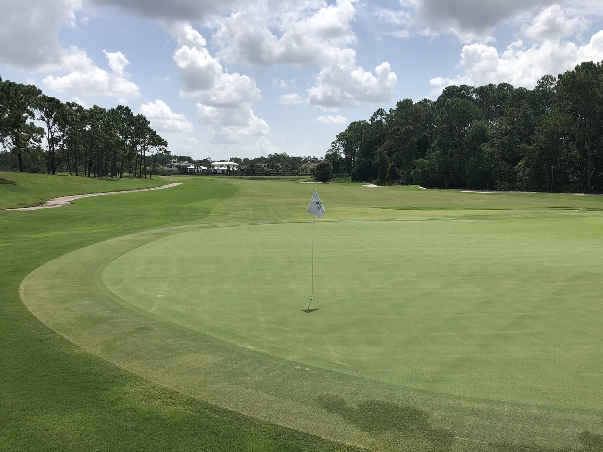 Lou Eckhart tweet media