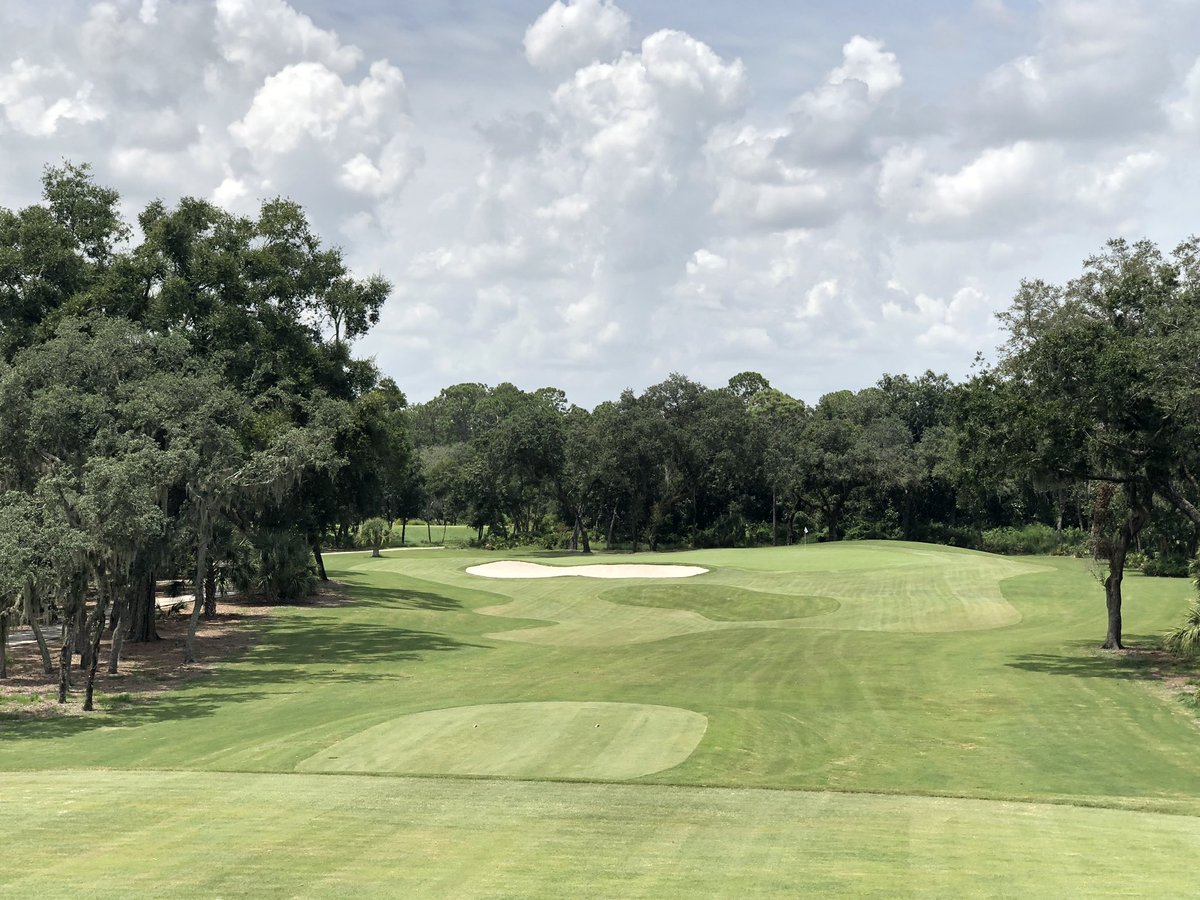 Lou Eckhart tweet media