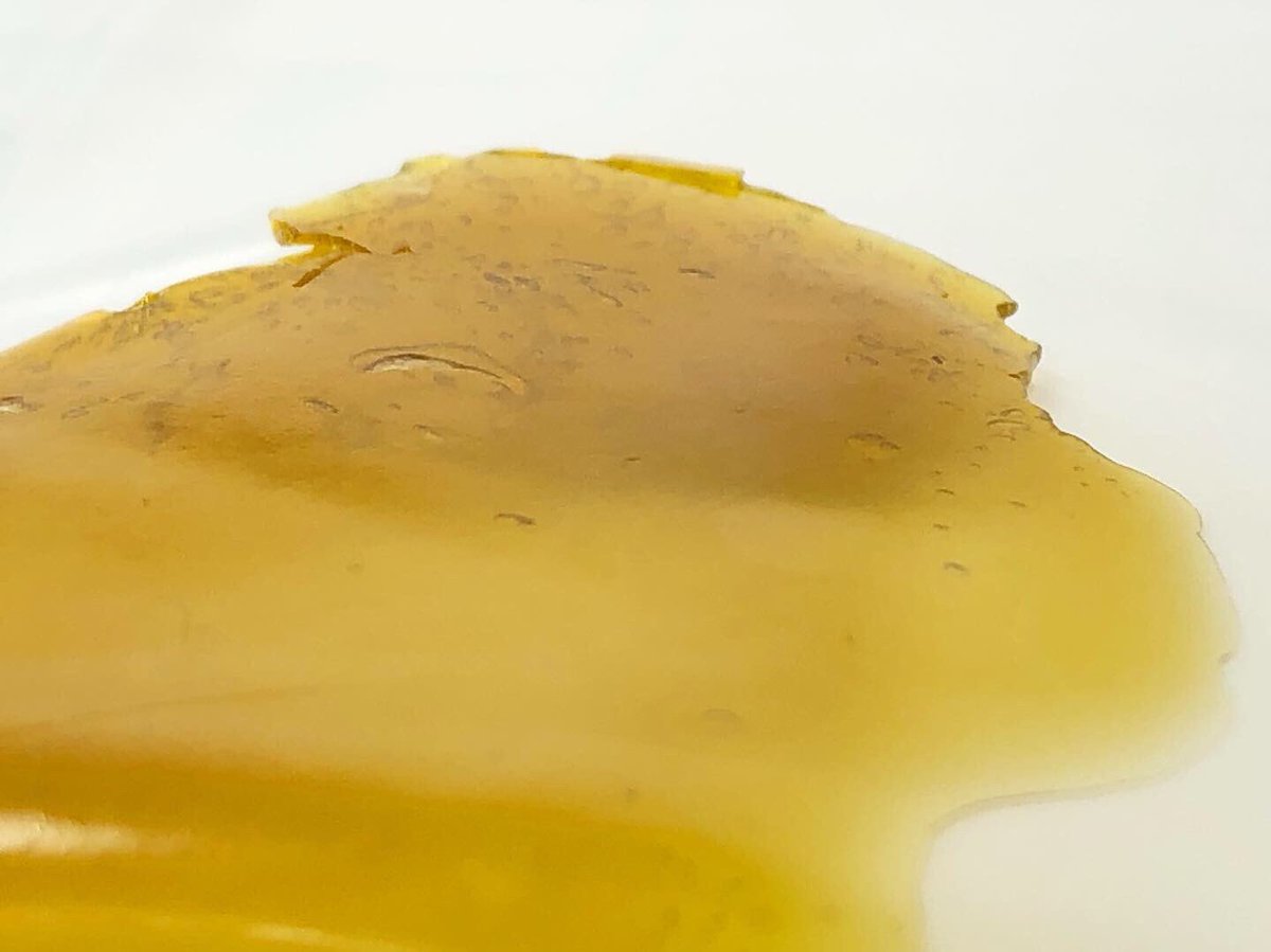 GreenRemedypdx's tweet photo. Choose your fighter: Purple Punch by @botanicallaboratories VS Cherry 1 by @mana.extracts
#cannabis #shatter #pdxweed #seportland #greenbandaid #chooseyourfighter #cannabisculture #pdxstoners #weedpost #weed #weedporn #weedstagram #oregoncannabis https://t.co/Otr87DFoVH