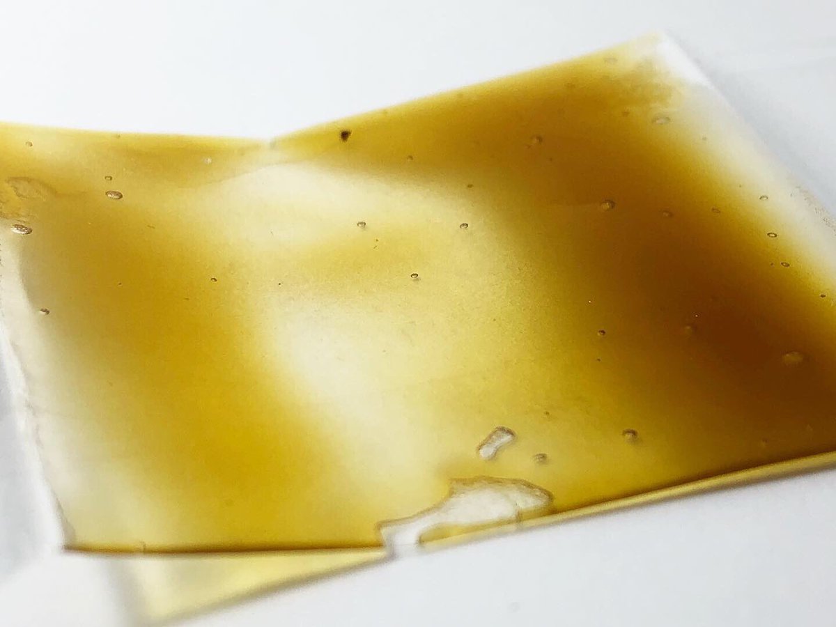 GreenRemedypdx's tweet photo. Choose your fighter: Purple Punch by @botanicallaboratories VS Cherry 1 by @mana.extracts
#cannabis #shatter #pdxweed #seportland #greenbandaid #chooseyourfighter #cannabisculture #pdxstoners #weedpost #weed #weedporn #weedstagram #oregoncannabis https://t.co/Otr87DFoVH