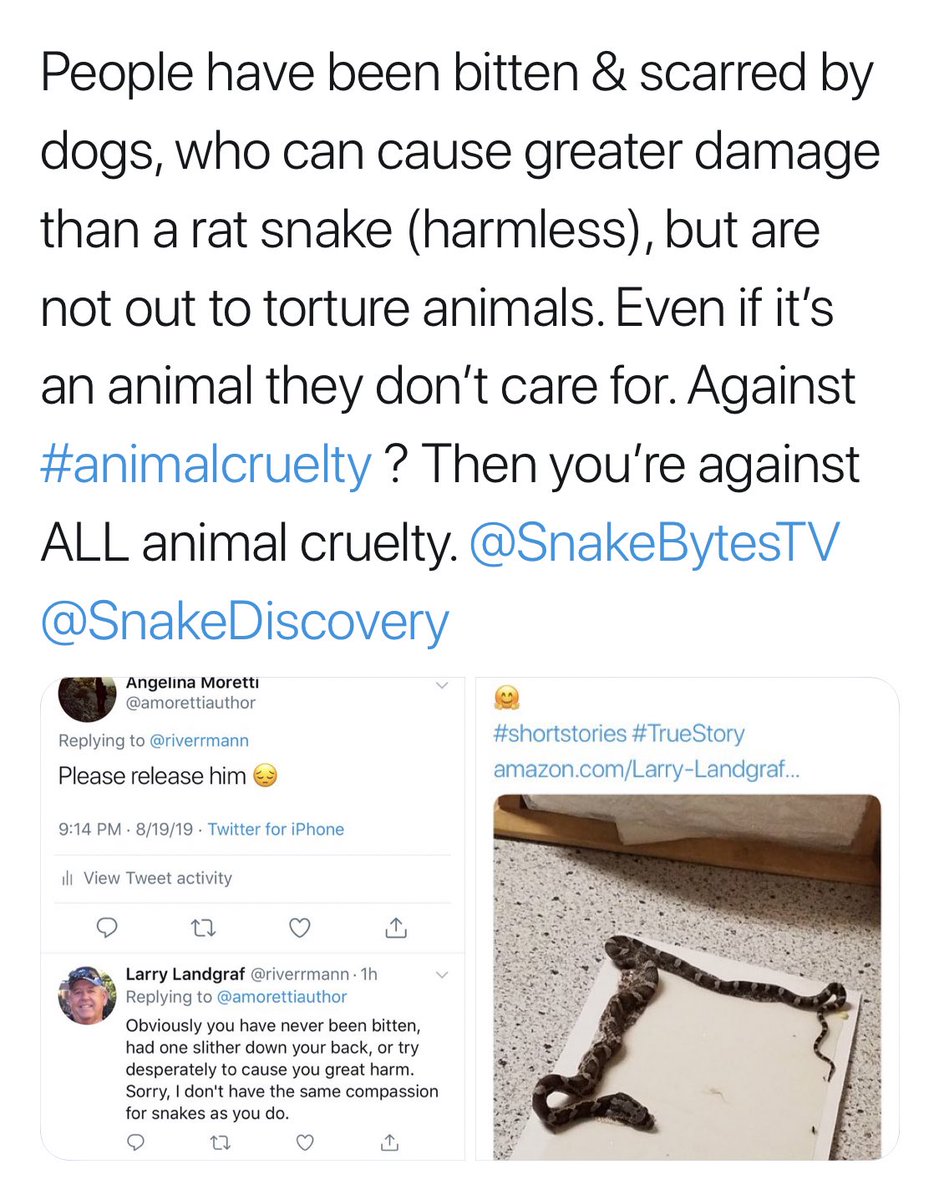 amorettiauthor's tweet photo. @SnakeDiscovery Hi @SnakeDiscovery I’m sorry for tagging you in this twice but I wanted to bring attention to this post. Anyone reading this, please retweet. https://t.co/3zo5LLQhSp