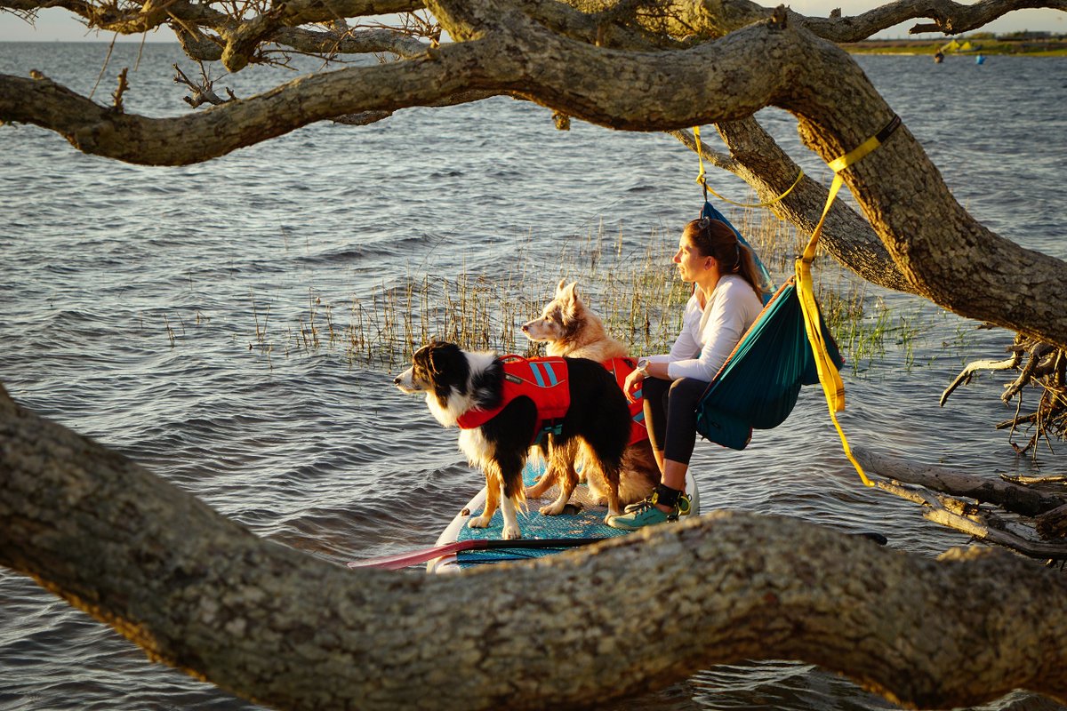 Ruffwear tweet media