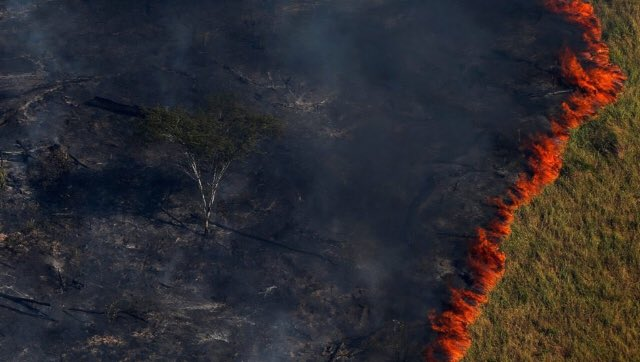 VOSTPT's tweet photo. ℹ️🔥#IFAmazónia Quando a Amazónia arde, arde o pulmão de todo o planeta. O desastre que está a acontecer no #Brasil não pode deixar ninguém indiferente, e não pode ser silenciado 🔥ℹ️

(Foto 1: B. Kelly @ Reuters / Imagem 1: Serviço de Monitorização da Atmosfera da @CopernicusEU) https://t.co/bDw7HDIThq