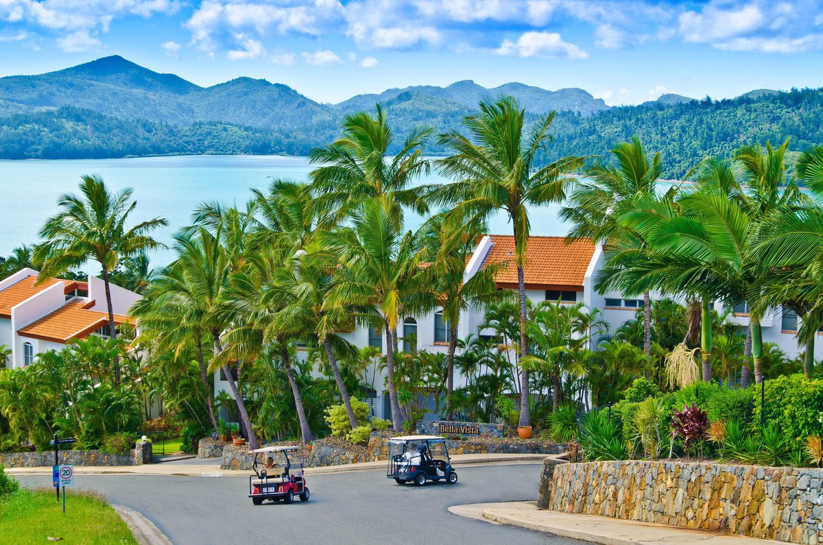 Holidayonhamo's tweet photo. Wednesday morning drive into work.  Is this what your morning looks like??  
.
.
.
.
#hamiltonisland #beautifuldestinations https://t.co/disRN53JJT