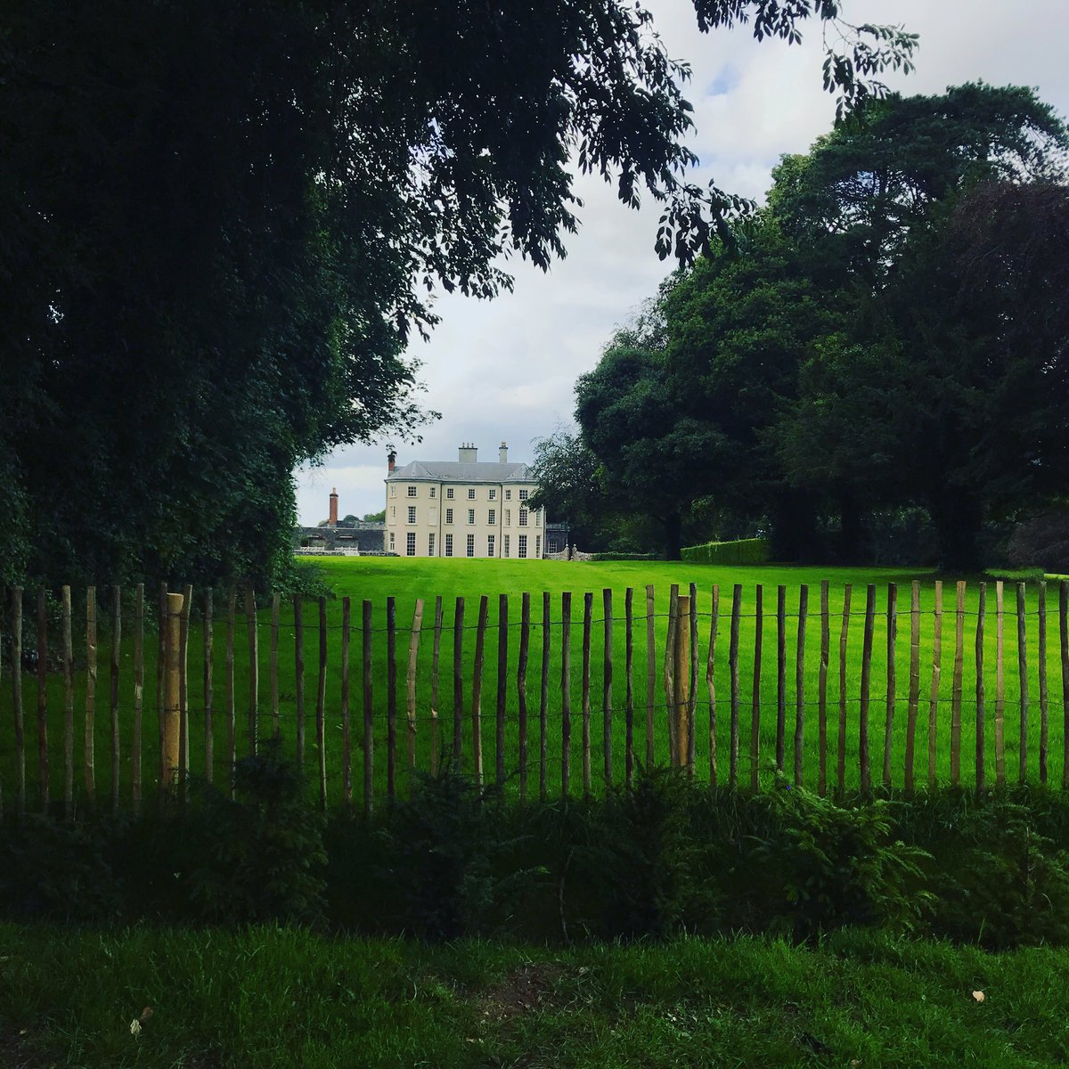 Miss the trees of beautiful North Cork. Glad to visit Doneraile Park in its lush summer abundance. A heavenly day. #northcork