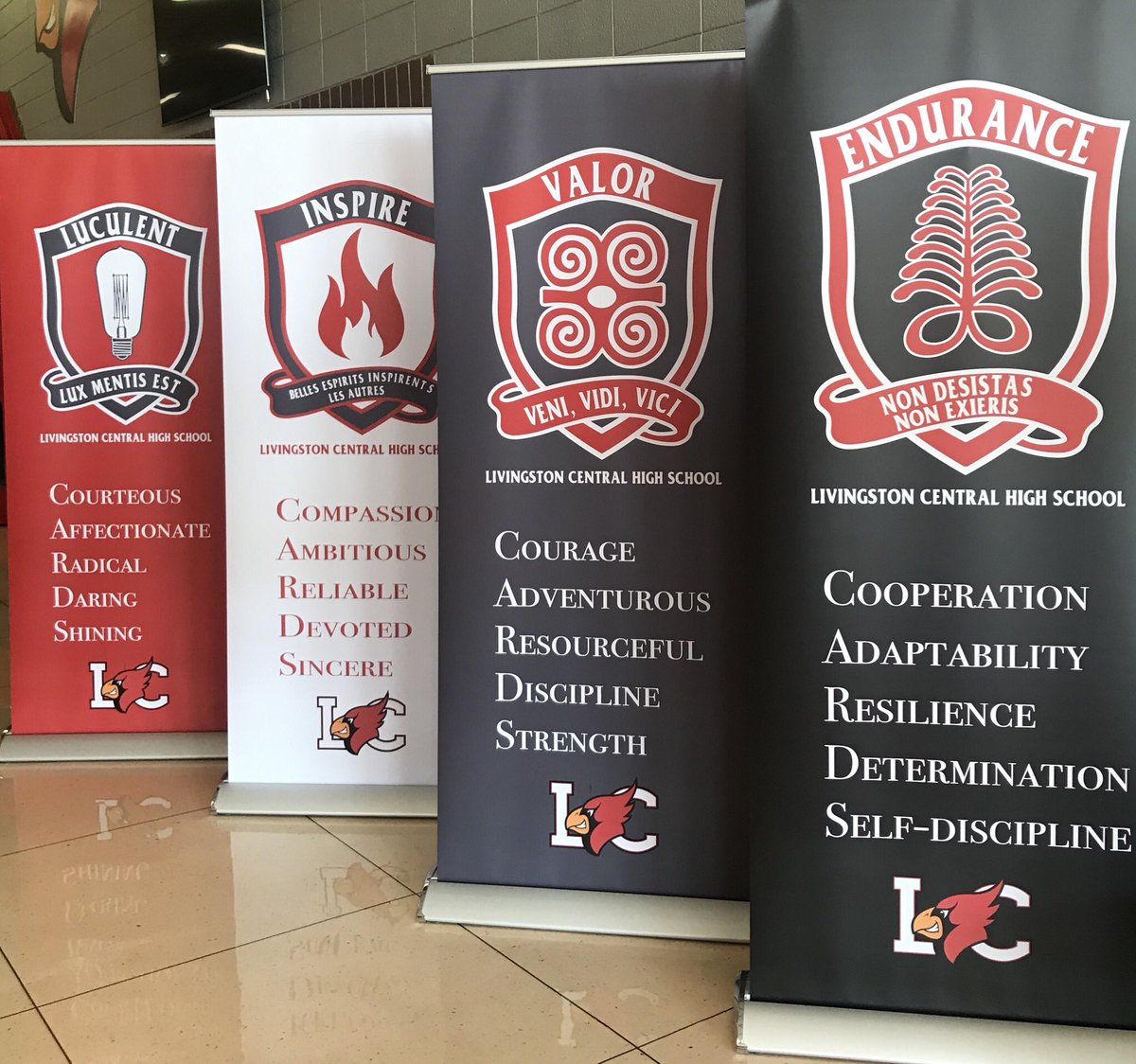 LCHSCards's tweet image. Welcome to our LCHS Houses                                                L – Luculent 
I – Inspire 
V – Valor 
E – ENDURANCE