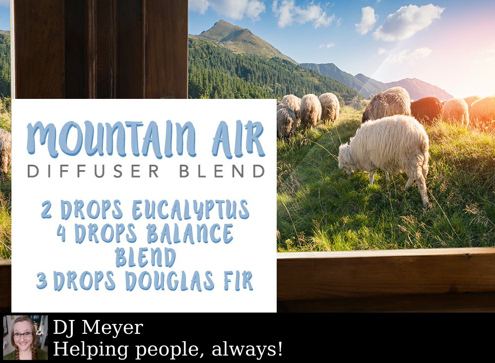 DJ83Meyer's tweet photo. Some people prefer the sea breeze and others prefer the crisp mountain air! https://t.co/MmhfR017YQ