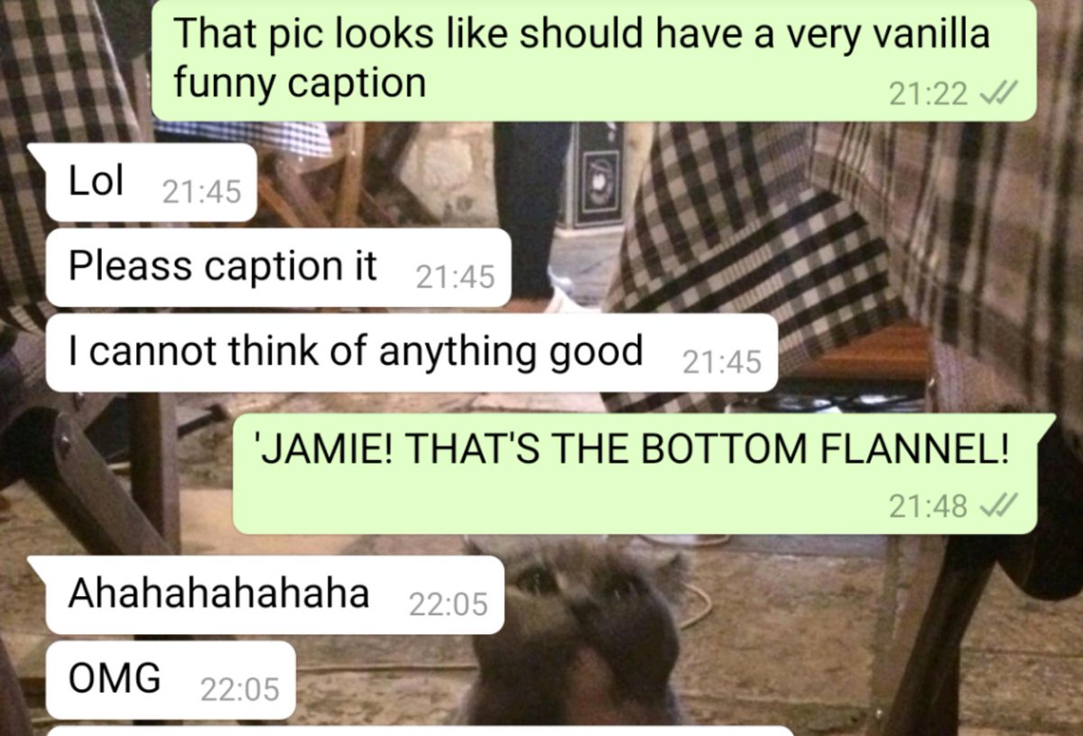 megsrix's tweet photo. @dadwroteaporno don't want to toot my own horn but I think combining kitten pictures with MDWAP quotes should be my new day job #bottomflannel https://t.co/2a0RNTj4jr