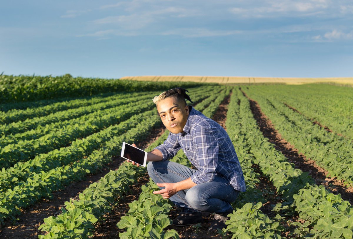 BaptAuschr's tweet image. mdr c'est xxxplantation