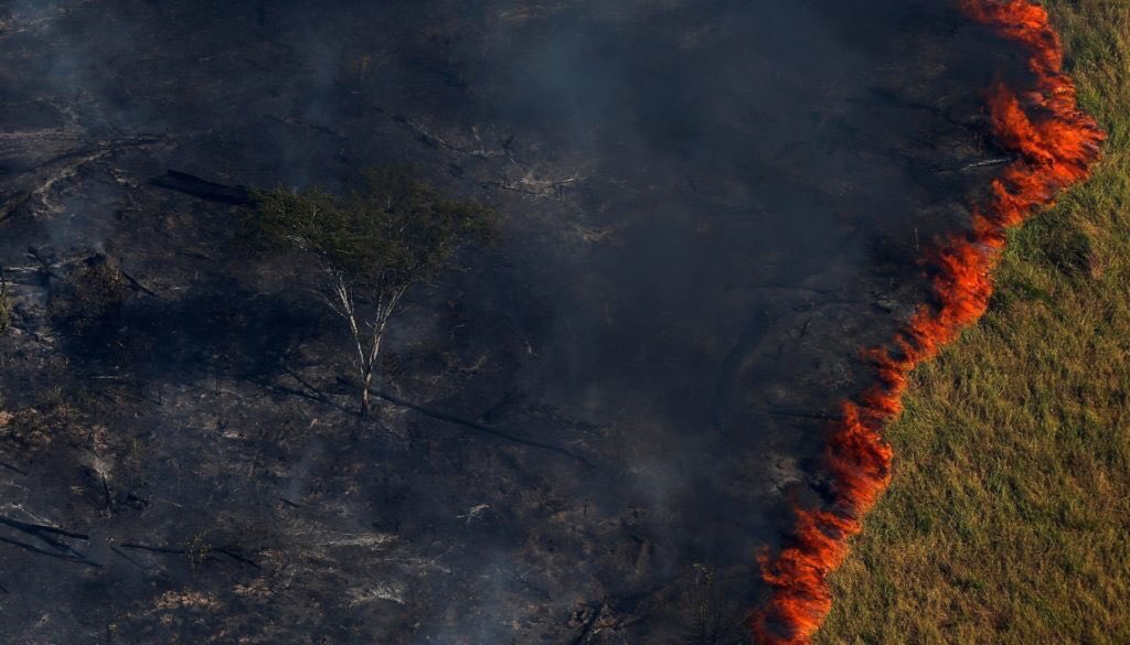 GossipRoomOff's tweet photo. Aujourd’hui, cela fait maintenant 16 jours consécutifs que l’Amazonie, le poumon de notre belle planète, est sous les flammes... Il faut faire passer le message et ne pas fermer les yeux sur cet important risque environnemental. 🙏🏼🌱 #PrayforAmazonia https://t.co/XX3TGWRpdI