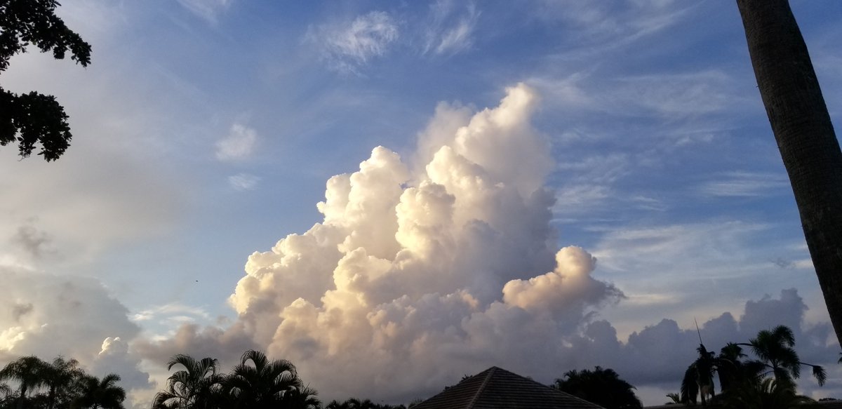 verdeye's tweet photo. Negativity will engulf you unless you build yourself a positivity circuit. To do that, spend one minute looking for positives, 3 times a day for 45 days. https://t.co/9EMsGnqLi2 #bepositive @Forbes #TuesdayMotivation https://t.co/CqdwOEjp73