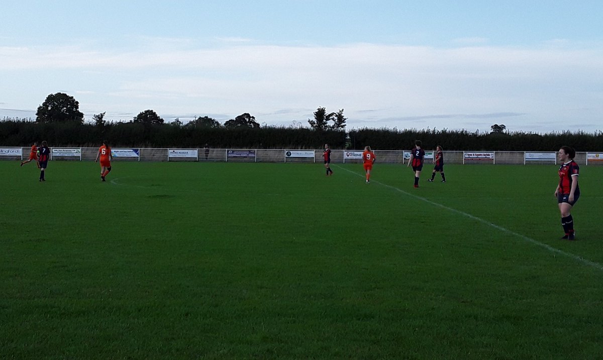 New Milton Town Women FC tweet media