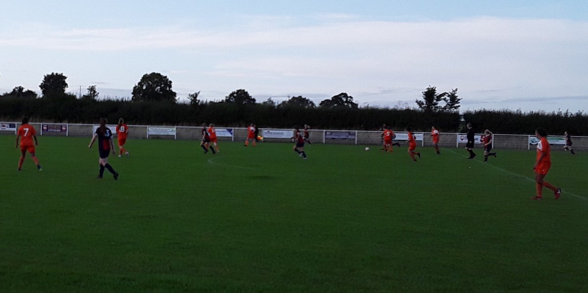New Milton Town Women FC tweet media