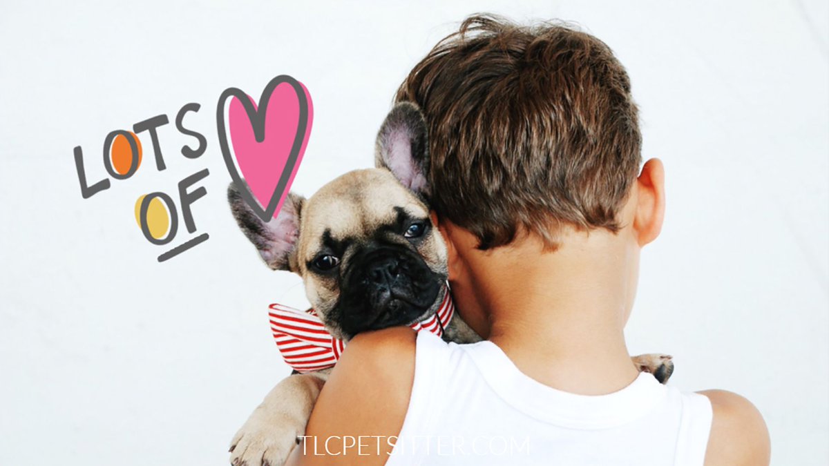 TLCpetsitter's tweet photo. Have you hugged your dog today? ❤️
#mesaaz #toocute #welovedogs #dogsofchandler #dogoftheday https://t.co/sDNuRTBM3t