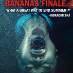 Photo by 47 Meters Down: Uncaged (@47MDown)