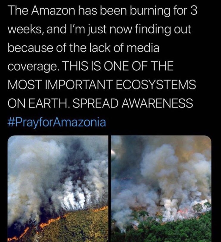 alyssamulkerrin's tweet photo. This is so shocking how I’ve only found this out today , this is real news that should be spread on social media and be talked about not what new product every blogger is being paid to shit talk about!! #AmazonRainforest https://t.co/WWrPIgXmIV