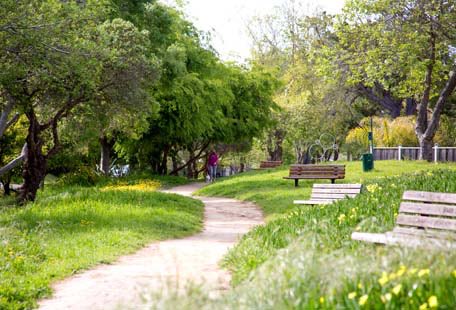 GisSmall's tweet photo. with areas I believe could benefit from a new green space. I look forward to the feedback on how you think we can change our landscape and make this place a site to see! 

(Credits: Green Infrastructure Ontario Coalition) https://t.co/93l9k7to4M