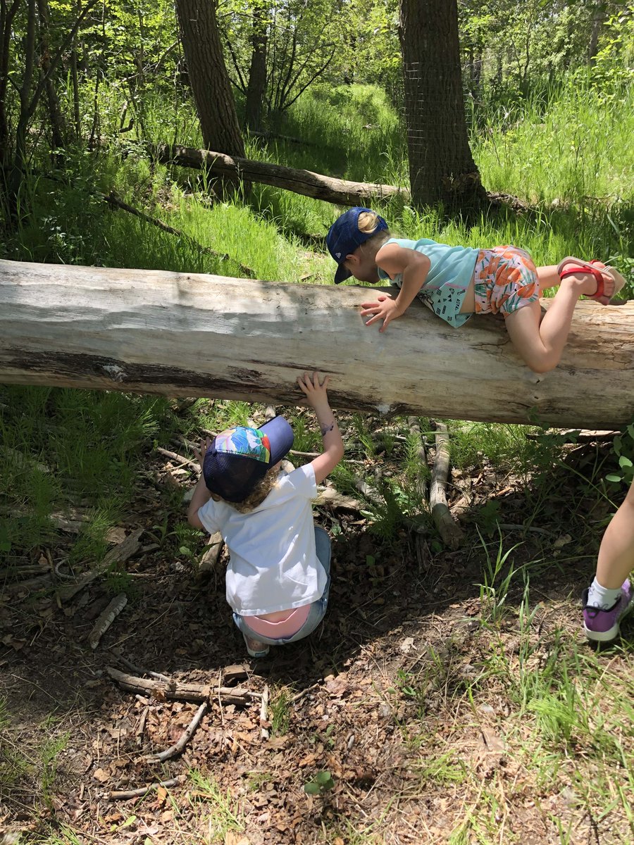 LeightonCentre's tweet photo. Connect with your young children while your family connects with nature in our amazing Alberta Foothills! Families in Nature with Alex O' Rourke, Founder of Urban Wild Calgary, is coming up on Saturday, August 24th!

More info: https://t.co/UeqbySZbZn. #leightonartcentre #yyckids https://t.co/GU1IBdQAEN