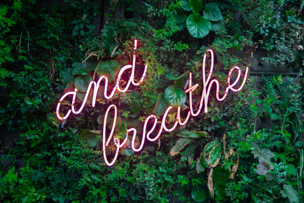 Stop stressing yourself out! When you freak yourself out, you won't be able to think clearly and make smart decisions. Take deep breaths and have one positive thought to hold onto. 
#andbreathe #nostress #deepbreaths #mantra #yougotthis #lifecoach #discoverysessions #austin