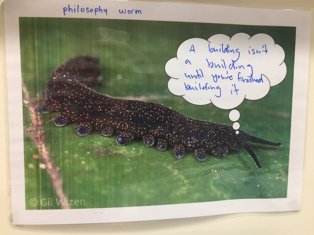 technicallytia's tweet image. Sorry that their hasn’t been any velvet worm content for a while but don’t worry; philosophy worm is back! 

#piples