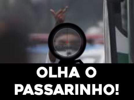 25Rafaelsalgado's tweet photo. PSOL chora mais ! @mariadorosario @jeanwyllys_real @gleisi @Haddad_Fernando 

💀🇧🇷 #BOPE #PADRÃO qap total
Todo nosso respeito a gloriosa PMRJ eliminou o vagabundo e salvou os reféns. https://t.co/RQCa4ZHJtr