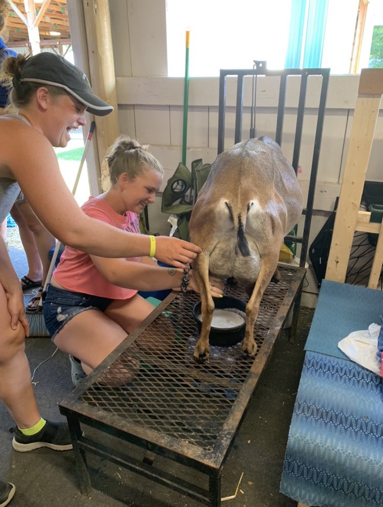 Kate Becker tweet media