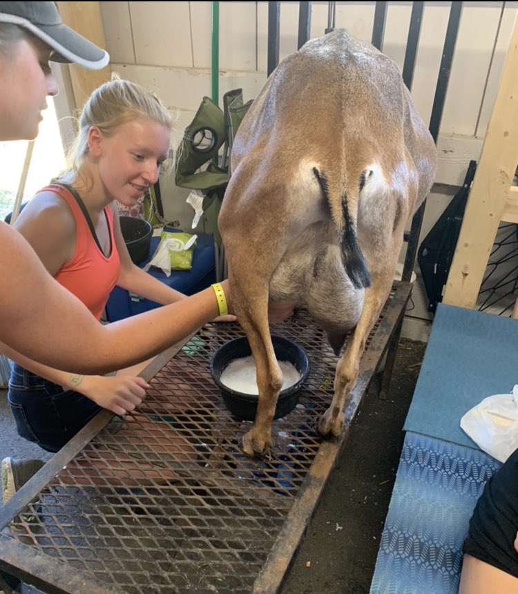 Kate Becker tweet media