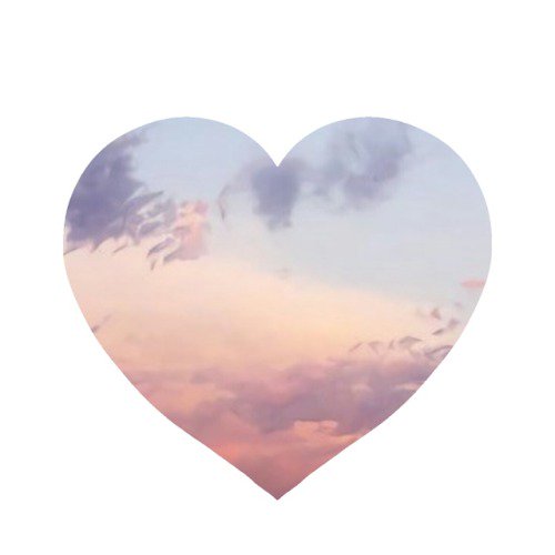 ☽ tweet media