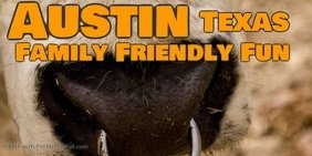 lisa_manderino's tweet photo. Are you ready to plan a trip to Austin Texas? Check out my new post all about Family Friendly places to visit!
https://t.co/r30Cbkylpd
#texas #austin #thinkery #ladybirdlake #congressbatbridge #mtbonnell #Texasstatecapital #ZilkerPark #Texashistorymuseum https://t.co/o7UHJBmXm1