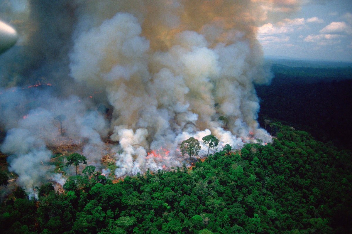 🌟🄱🅁🄸🄴🄴🅅🄴 🌟 (@plurrific) on Twitter photo 2019-08-21 21:21:06 When Notre Dame was burning, the worlds media covered every moment of it and billionaires rushed to restore it. Right now the Amazon is burning, the lungs of our planet. It has been burning for 3 weeks now. No media coverage. No billionaires. #PrayforAmazonia When Notre Dame was burning, the worlds media covered every moment of it and billionaires rushed to restore it. Right now the Amazon is burning, the lungs of our planet. It has been burning for 3 weeks now. No media coverage. No billionaires. #PrayforAmazonia