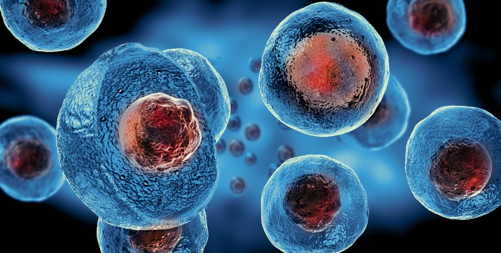 WoundCare_2019's tweet photo. #Cellular_dust provides new hope for #regenerative_medicine
For more information, kindly visit our conference website at: https://t.co/CQSgdes3PW https://t.co/jRkzQhUQo4