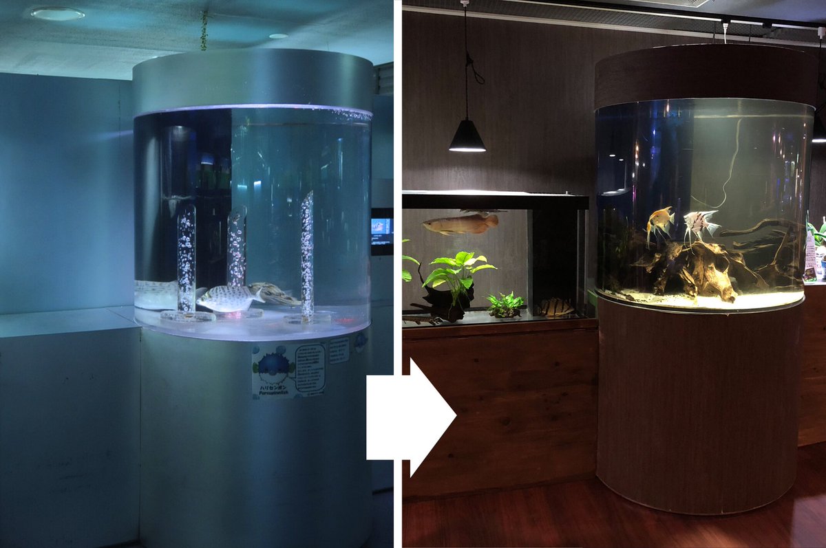 東京タワー水族館 でした Tta Info Twitter