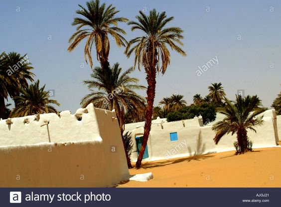 SudaneseCulture tweet picture