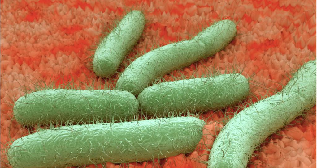 WebMD's tweet image. Here's a reason to wash your hands after ordering while dining out: Restaurant menus have 100 times more bacteria than a toilet seat, according to one microbiologist. wb.md/2KIb57q