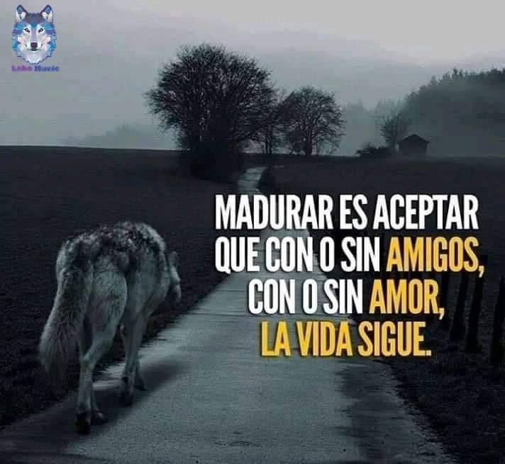 Frases de un Lobo (@frases_lobo) / Twitter