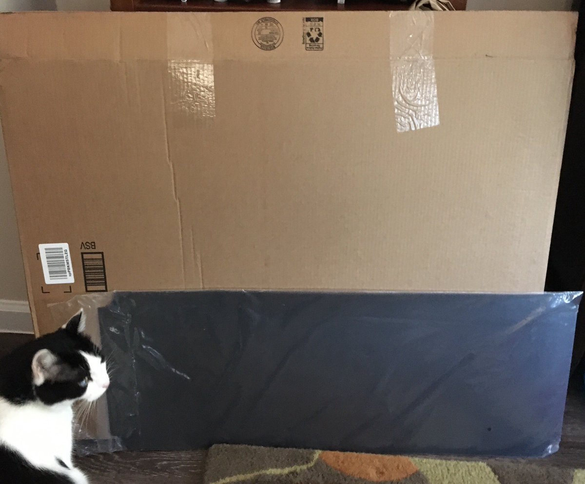 danarelli's tweet photo. Even the cat wants to know why @Amazon shipped these plastic shelf liners in a box nearly 3 times their size and 10 times their width https://t.co/TX7MHQwN2D