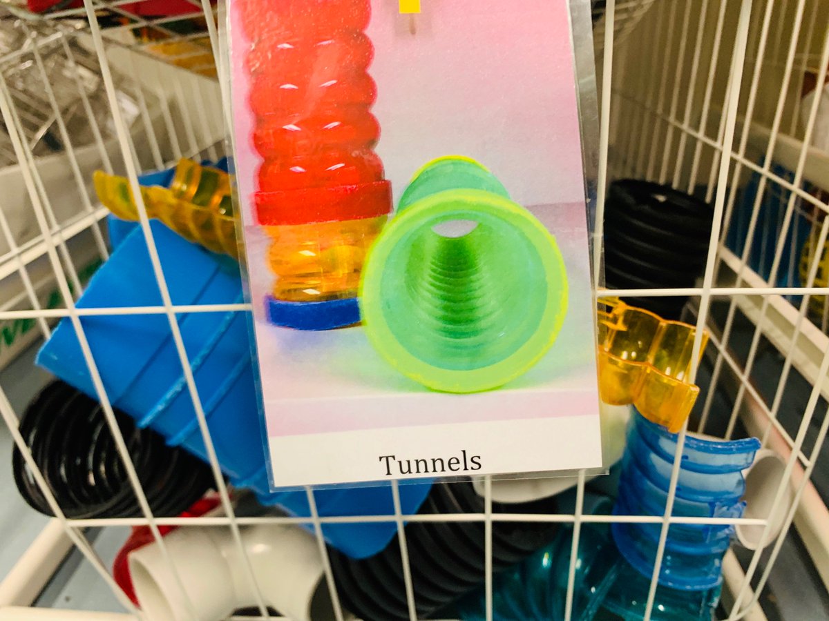 WISparkville's tweet image. In our lab we explore how stimulating environments can protect mice from memory loss in older age. Our mice climb on ladders, ropes &amp;amp; tunnels, run on wheels &amp;amp; sniff different textures. This experience leads to new neuron growth! #activebrains #neurons