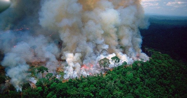 CedVld33's tweet image. Pourquoi les médias n'en parlent-ils pas ? Ces images sont terrifiantes... #PrayforAmazonia #Amazonia #Amazonie